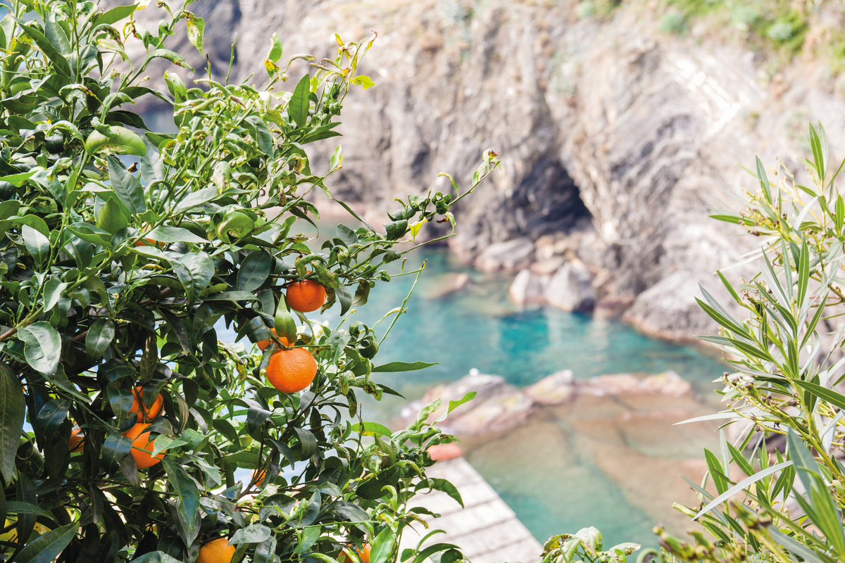 Agrumi italiani